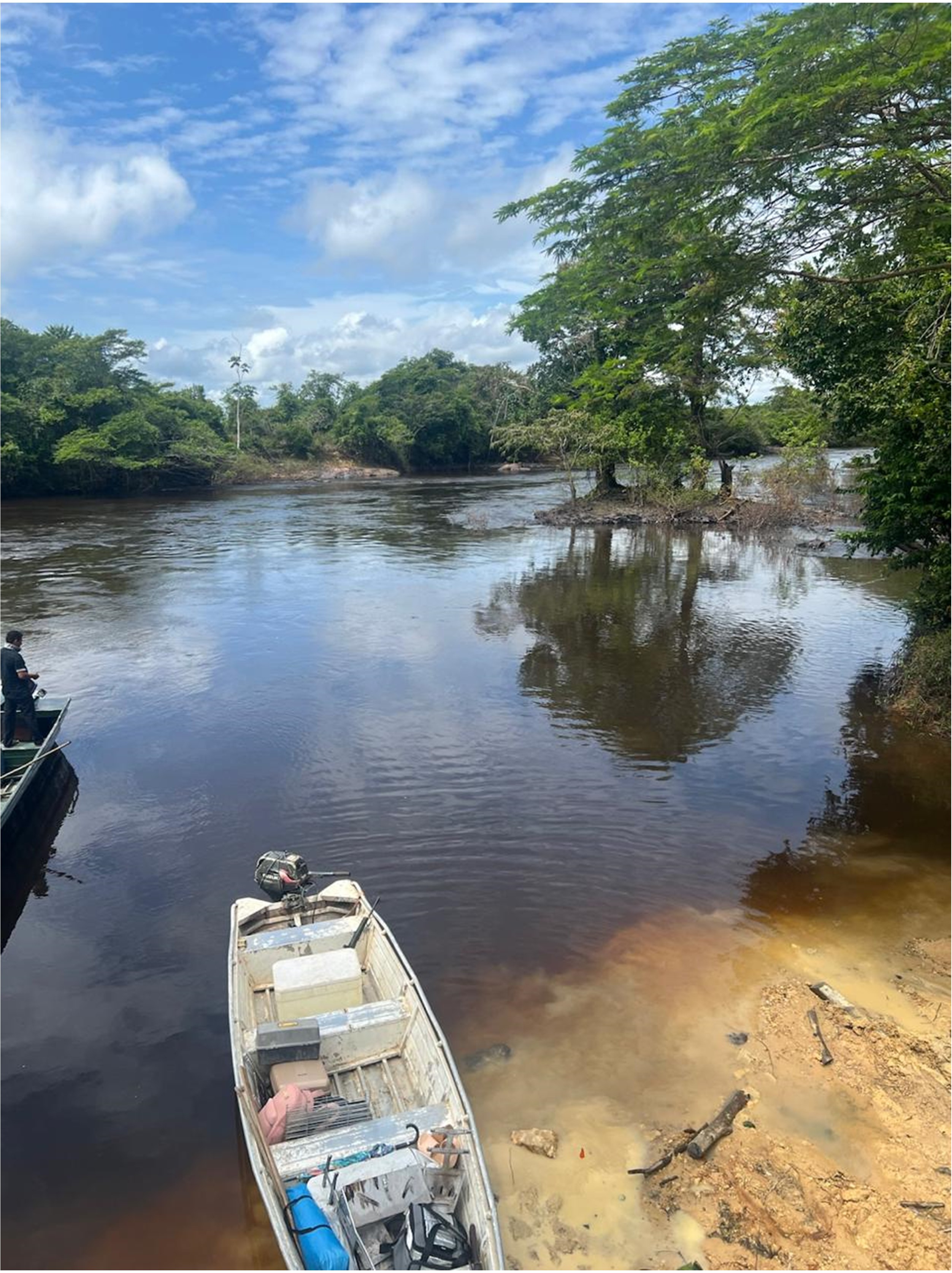 					Visualizar v. 19 n. 54 (2025): Set./Dez. (2025)
				